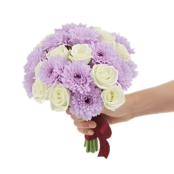 Blushing Rose Symphony