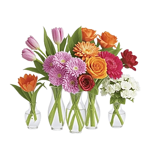 Petal Radiance Bliss