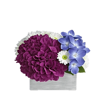 Sapphire Bloom Whisper