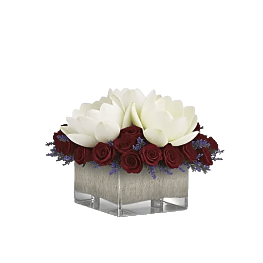 Blossom Petal Serenity