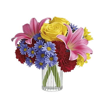 Radiant Rose Symphony