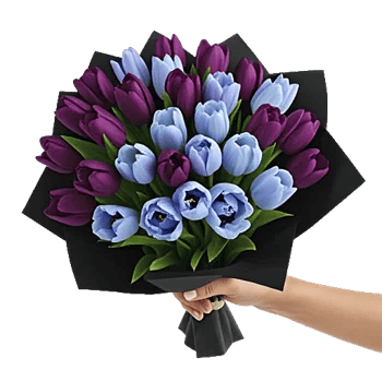 Velvet Tulip Display