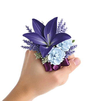 Blooming Serenity Display