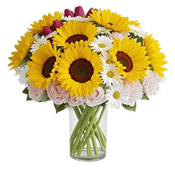 Petal Radiance Bliss