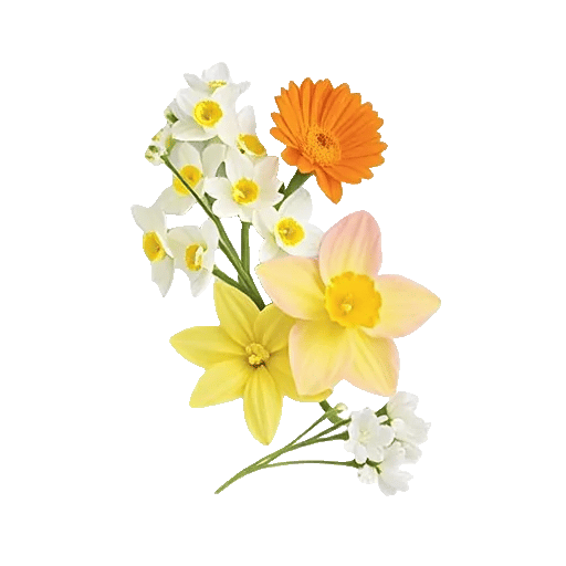 Ivory Blossom Radiance