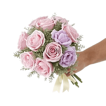 Pastel Pink Roses