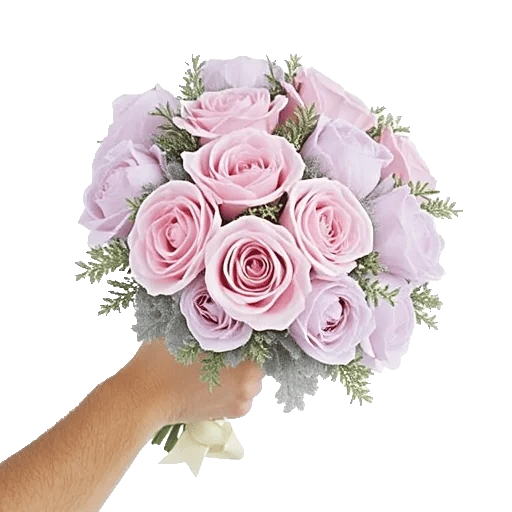 Pastel Pink Roses