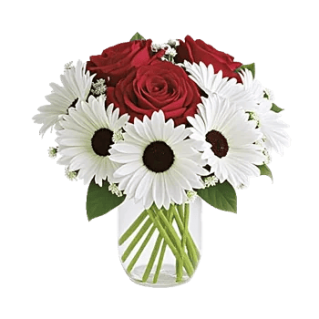 Crimson Rose Elegance