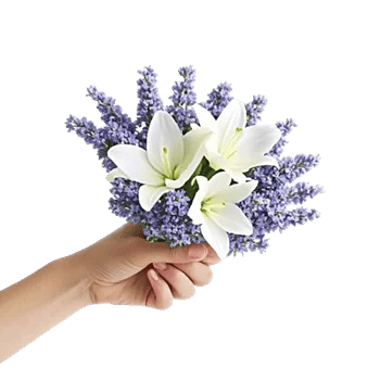 Lavender Bloom Grace