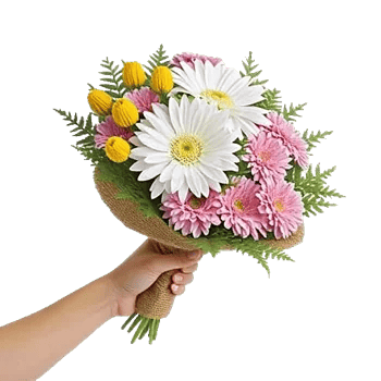 Petal Harmony Bliss