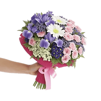 Ivory Garden Grace