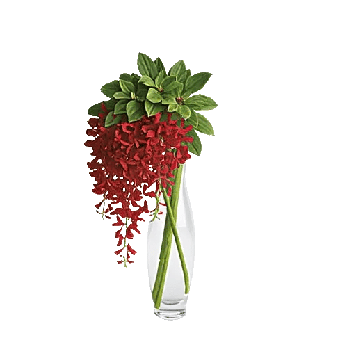 Crimson Blossom Harmony