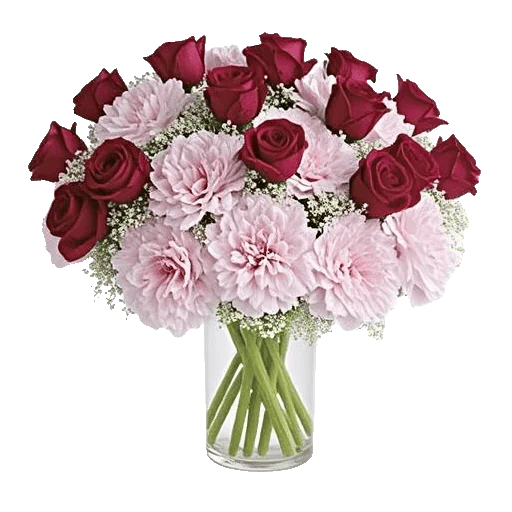 Pink Pastel Roses