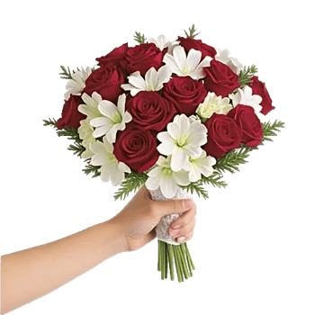 Crimson Rose Elegance