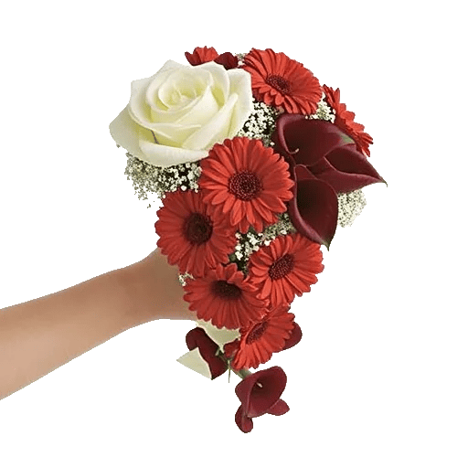 Delicate Petal Cascade