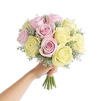 Pastel Pink Roses