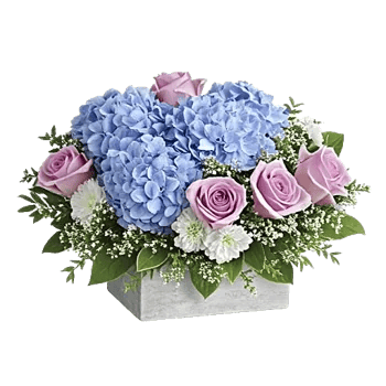 Sapphire Bloom Whisper