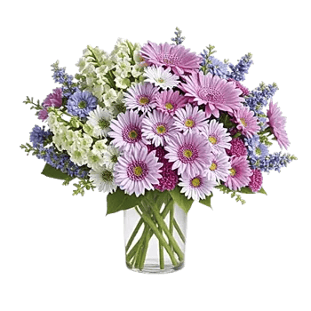 Ivory Blossom Radiance