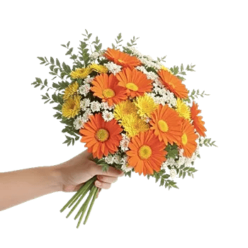 Petal Harmony Bliss