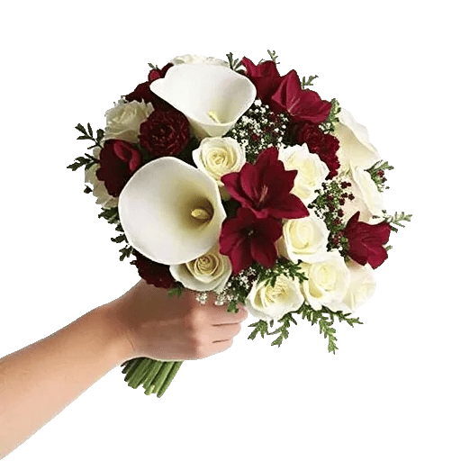 Elegant Calla Lilies