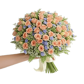Blossom Grace Spread
