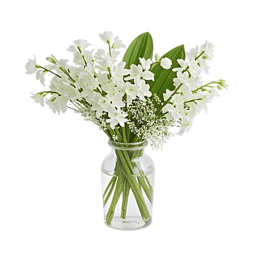 Graceful Lily Display