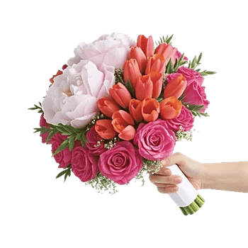 Peony Petal Harmony