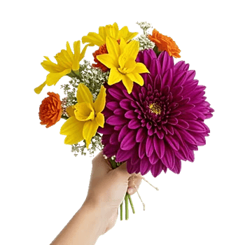 Radiant Bloom Cascade