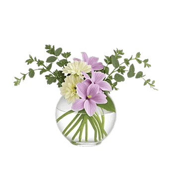 Minimalist White Orchids