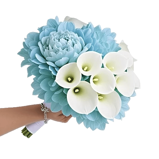 Peony Petal Harmony