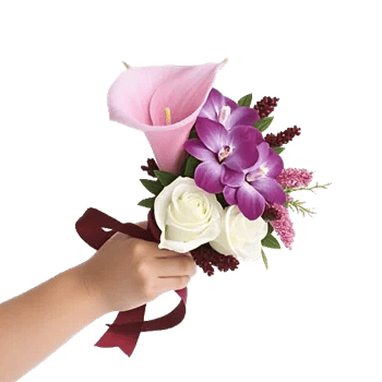 Elegant Calla Lilies