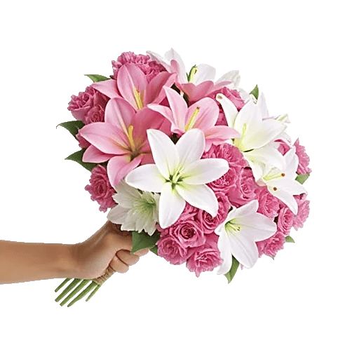 Blossom Harmony Display