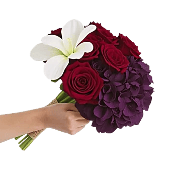 Crimson Rose Elegance