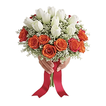 Ivory Garden Grace
