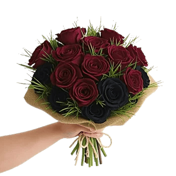 Crimson Rose Elegance