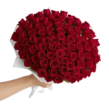 Crimson Rose Elegance