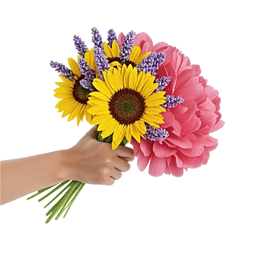 Twinkling Sunflower Dance