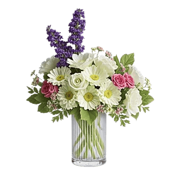 Ivory Blossom Radiance