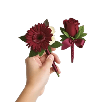 Crimson Rose Elegance