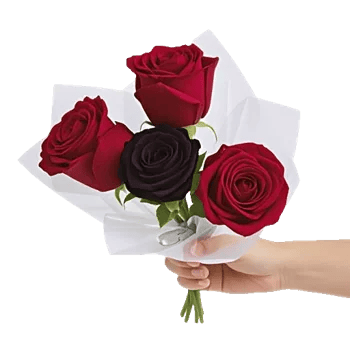 Crimson Rose Elegance