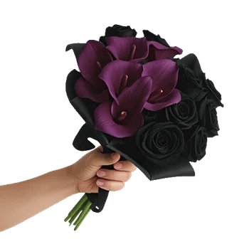 Elegant Calla Lilies