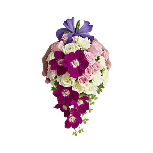 Orchid Bloom Cascade