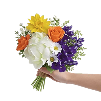 Blossom Harmony Display