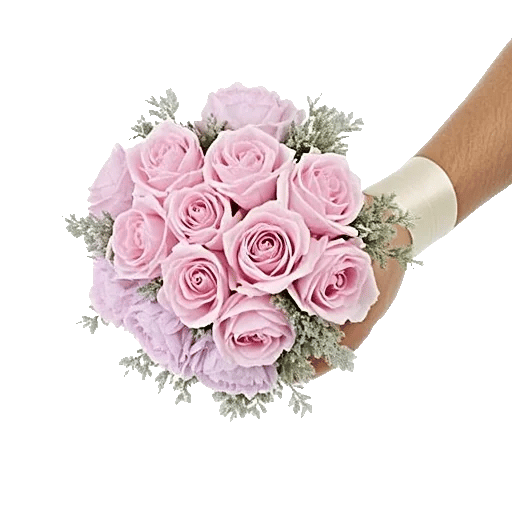 Pastel Pink Roses