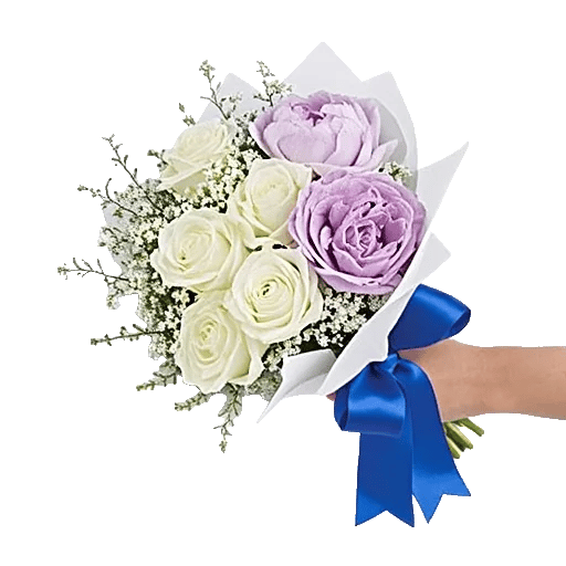 Serene Petal Harmony