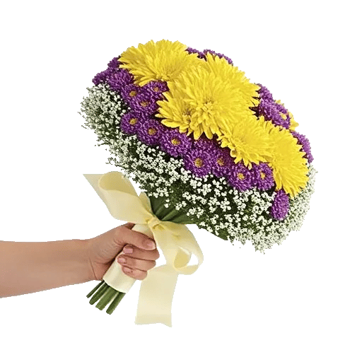 Blossom Harmony Display