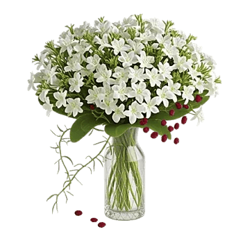 Ivory Blossom Radiance