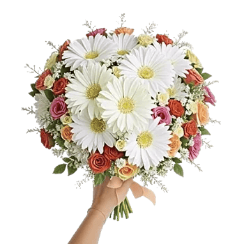 Delicate Petal Cascade