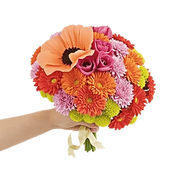 Peony Petal Harmony