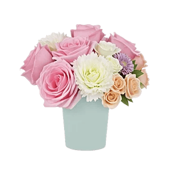 Pink Pastel Roses